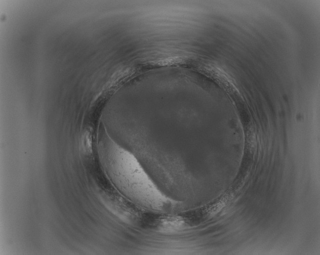 X0000068810214200605121259