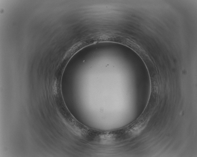 X0000068810216200605121259