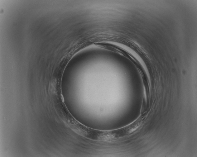 X0000068810217200605121259