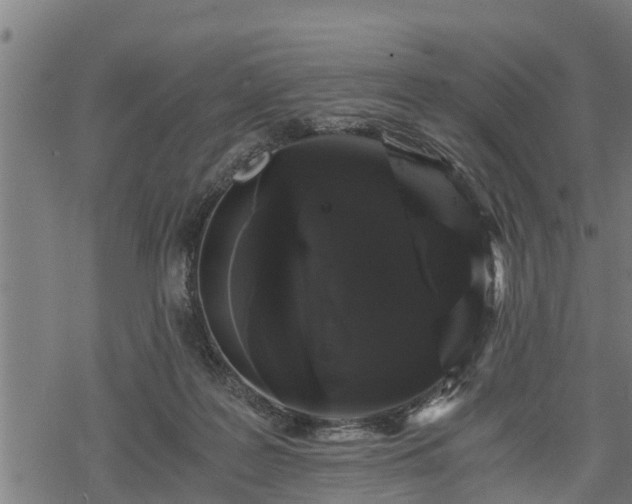 X0000068810219200605121259