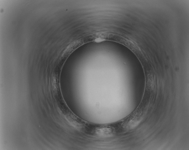 X0000068810220200605121259