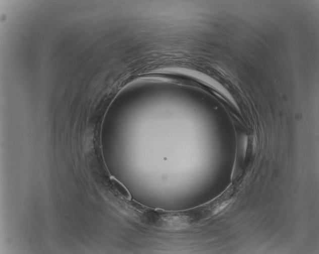 X0000068810221200605121259