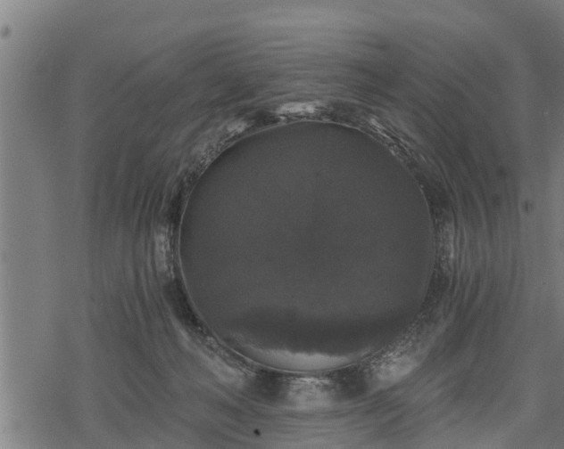 X0000068810222200605121259