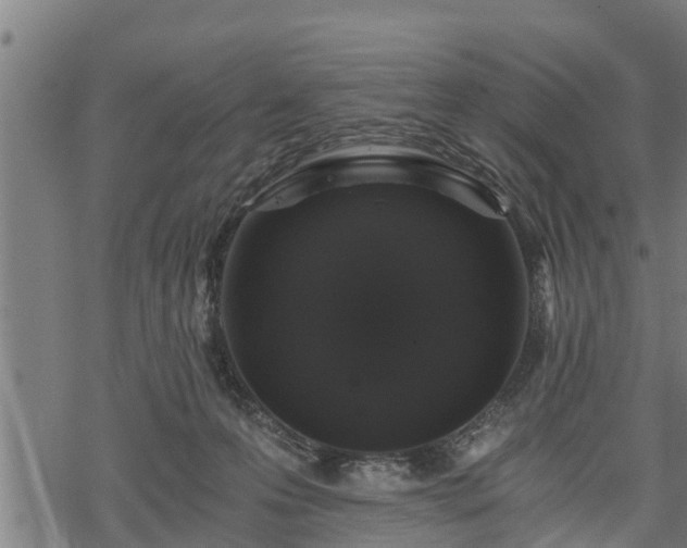 X0000068810223200605121259