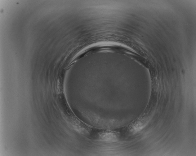 X0000068810224200605121259