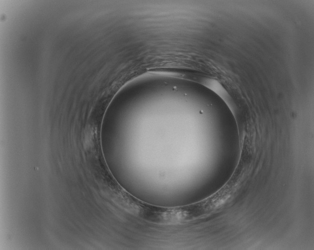 X0000068810225200605121258