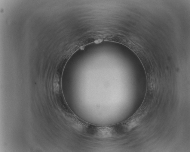 X0000068810226200605121258