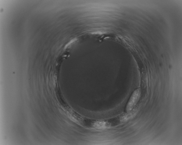 X0000068810227200605121258