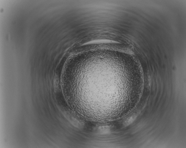 X0000068810228200605121258