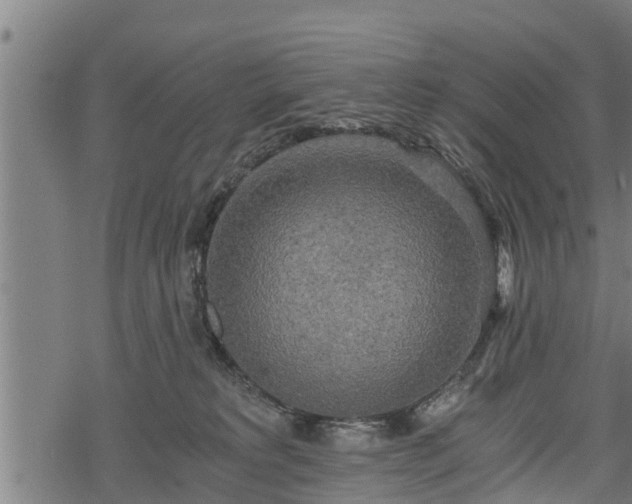 X0000068810229200605121258