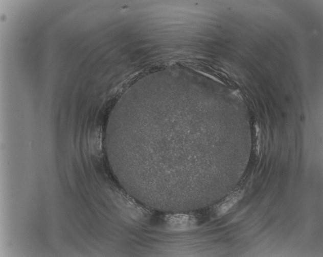 X0000068810230200605121258