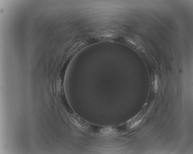 X0000068810231200605121258