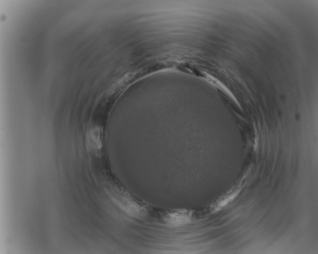 X0000068810232200605121258