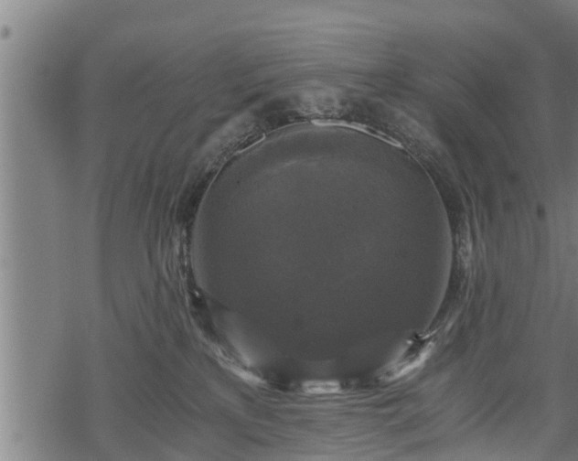 X0000068810233200605121258