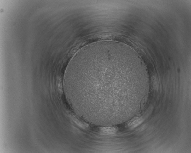 X0000068810234200605121258