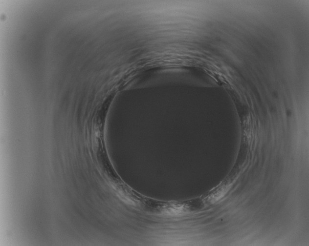 X0000068810235200605121258