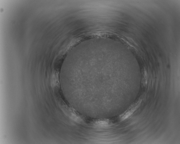 X0000068810236200605121258