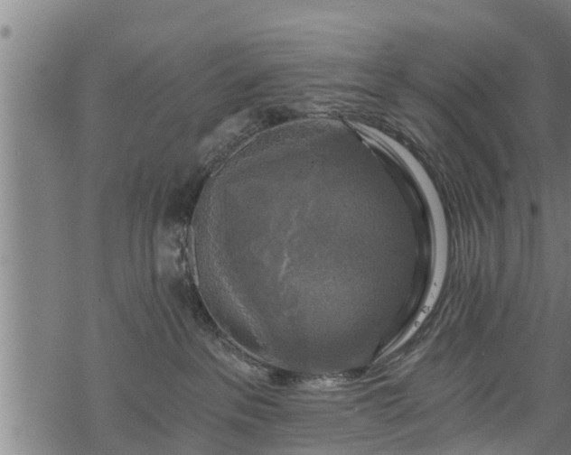 X0000068810237200605121258