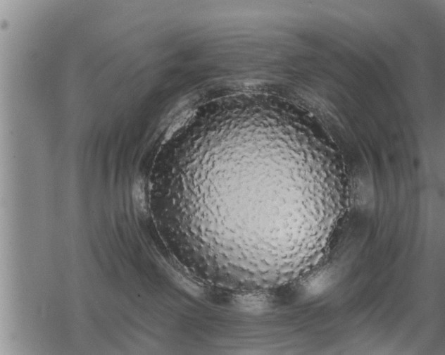 X0000068810238200605121258