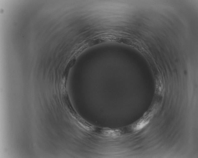 X0000068810239200605121258