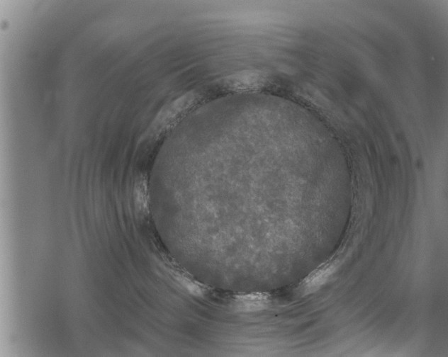 X0000068810240200605121258