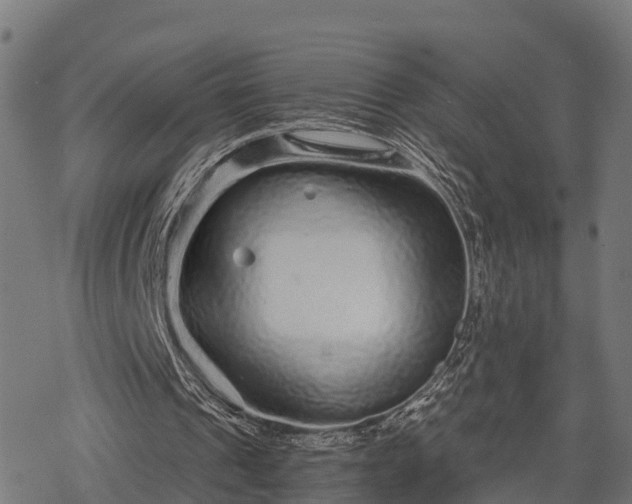 X0000068810241200605121257