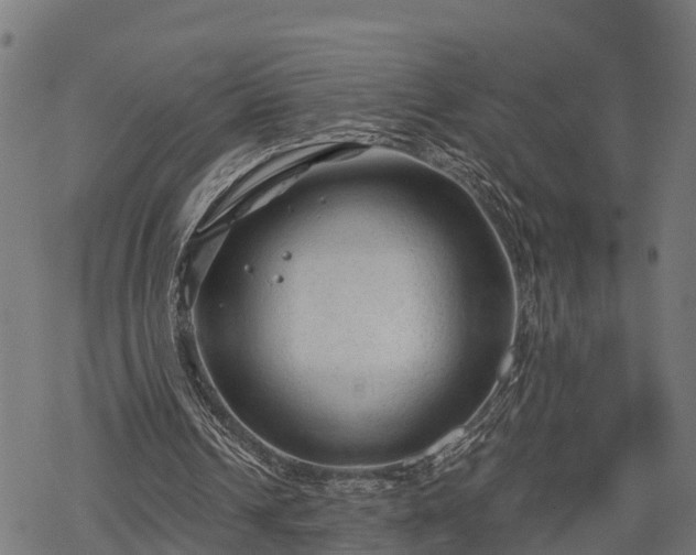 X0000068810242200605121257