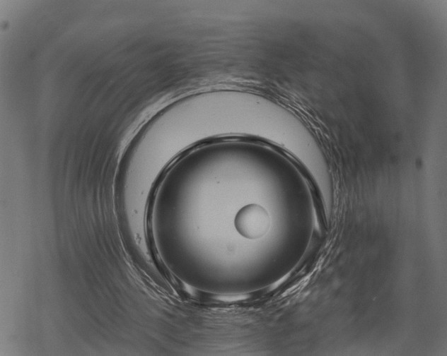 X0000068810244200605121258