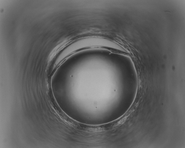 X0000068810245200605121258