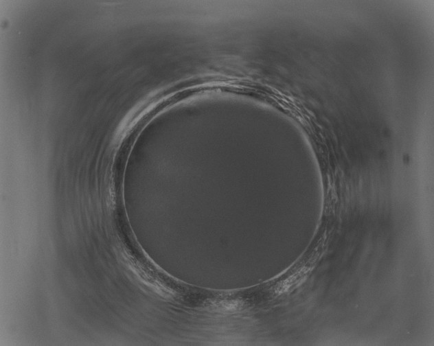 X0000068810247200605121258