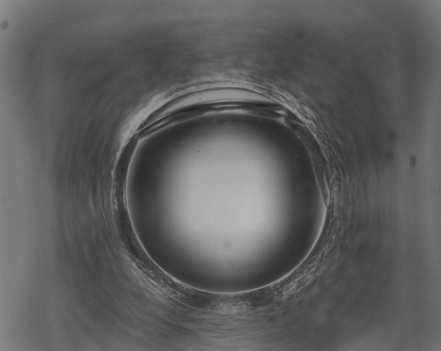 X0000068810248200605121258