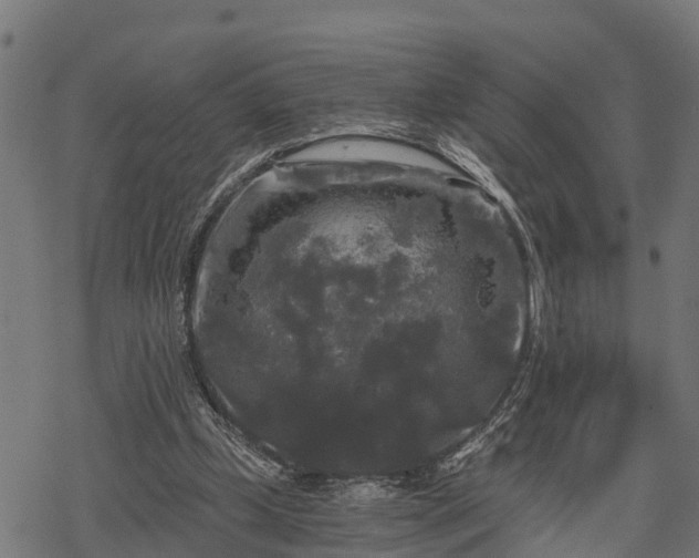 X0000068810249200605121258