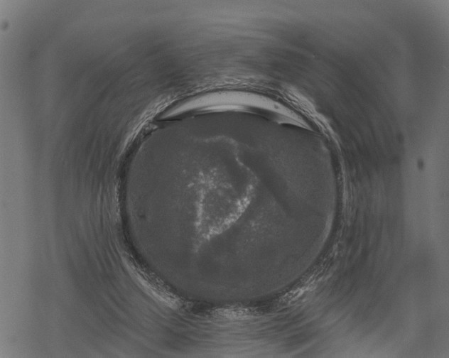 X0000068810250200605121258