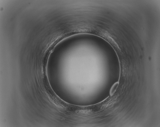 X0000068810251200605121258