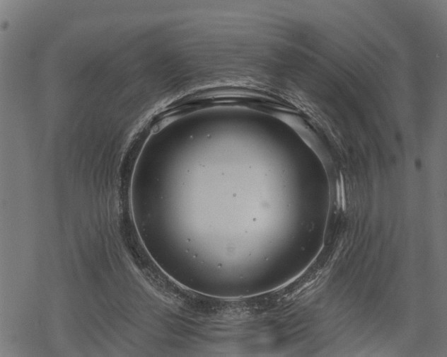 X0000068810252200605121258