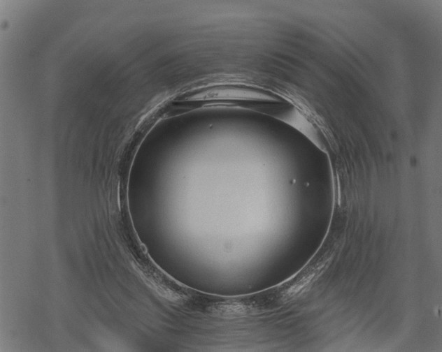 X0000068810253200605121258