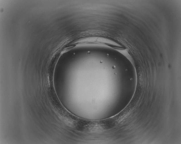 X0000068810254200605121258