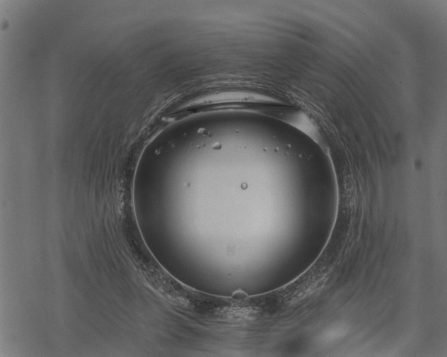 X0000068810255200605121258