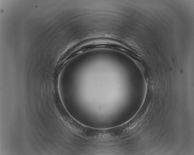 X0000068810256200605121258