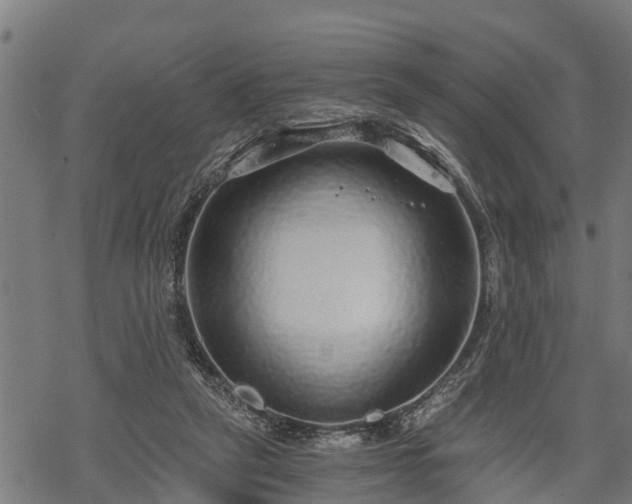 X0000068810257200605121258