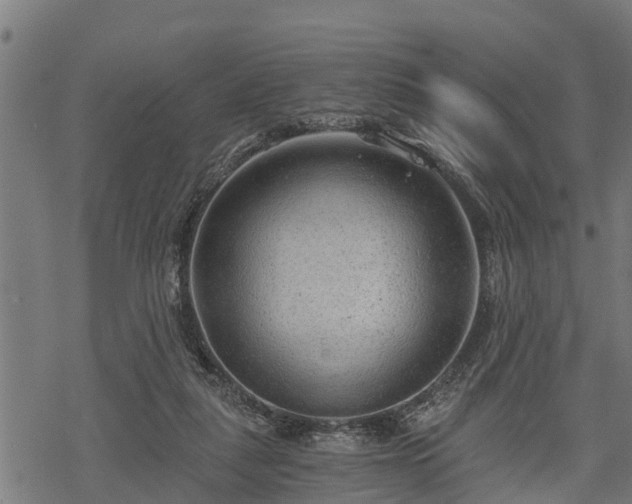 X0000068810259200605121258