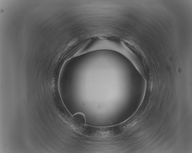 X0000068810260200605121258