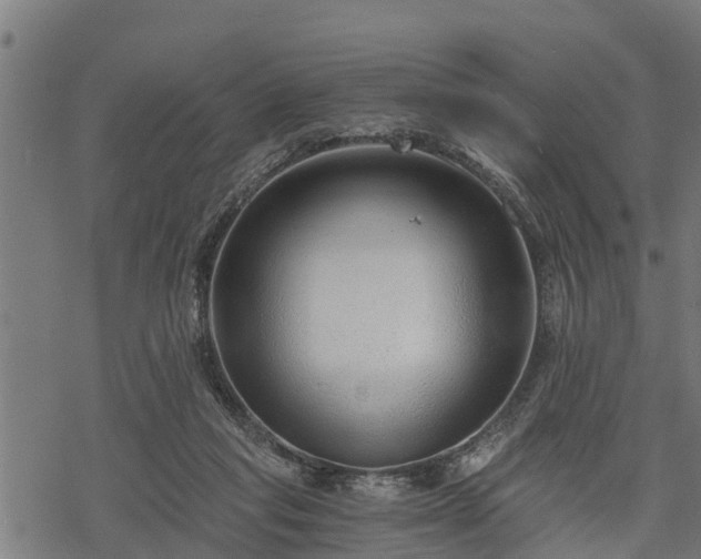 X0000068810261200605121258