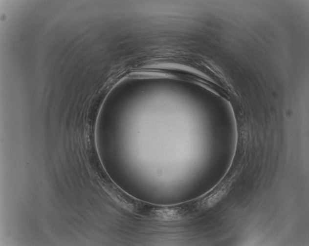 X0000068810265200605121258