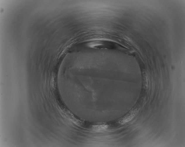 X0000068810266200605121258