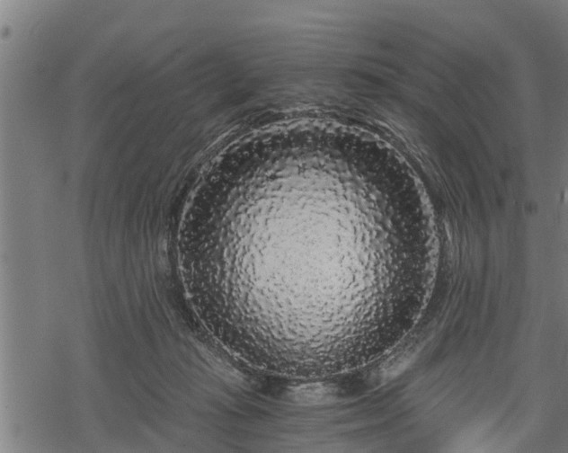 X0000068810269200605121258