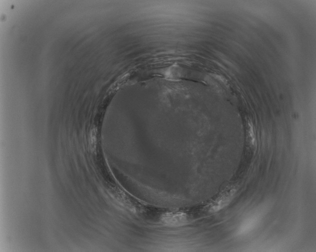 X0000068810271200605121258