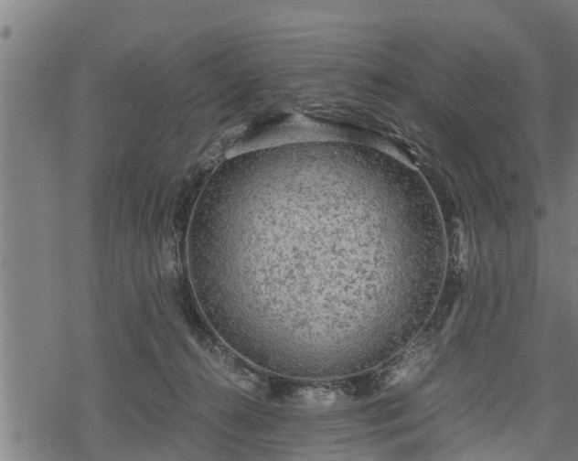 X0000068810272200605121258