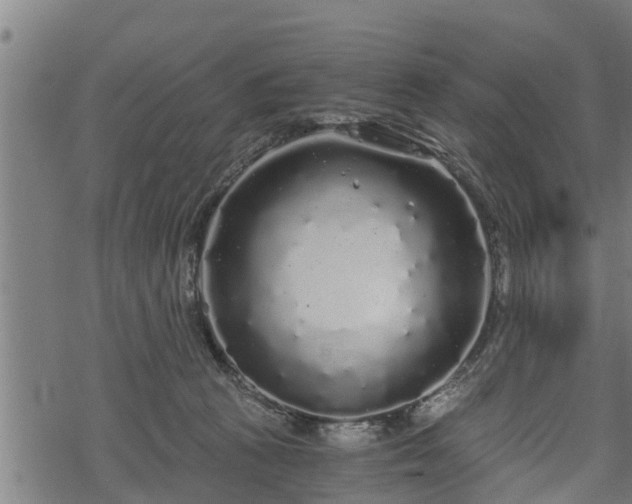 X0000068810273200605121258