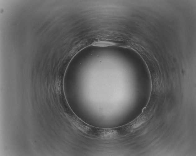 X0000068810274200605121258